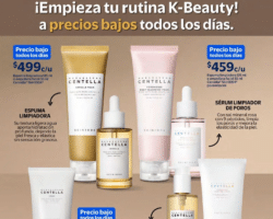 Folleto Walmart